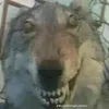 aaaaaaaaaa3030