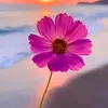 m.luiza301