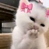 pinkkpooouuu