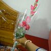 user139287023