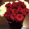 anas.anas4479