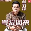 dannylim8144