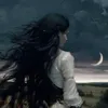 haivencool
