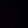 matthew_scholey