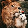 user1312200351