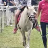 classybrunnete