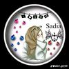 sadia2x