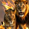 idman.cisman