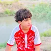 hass_nl