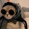 sujeet_syyyy