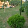 lojuina.khamis