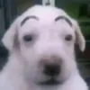 user4410429430276