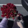 ranwa_fa6767