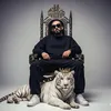 kamel_flow7