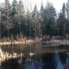 ipodsylwia