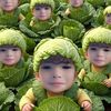 bangbuschanel