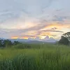 unknown_2315786