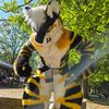 donzthetiger🔜MFF