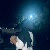 dtyaa29
