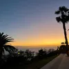 follow_310