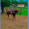 fabioneto05