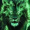 drehu_revolution