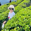 lananguyen15