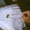 j_lia217