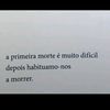 daviddasilvaa32