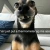 harley.pro