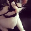 judynapagod