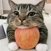 apple_catnya