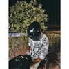 omid6234