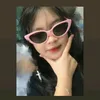 vihailinh07