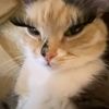 zeynep.catal4