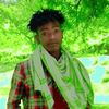 mule.alemu83