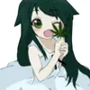 stafeel_cc