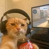 mah_pye