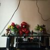 user4361217657616