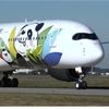 pandaa35069
