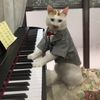 beethoven1prince