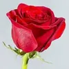 ahmed.aldoury4