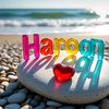 haroon.afridi228