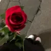 yamx.alla5