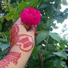 hafiza.khatun118