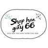Hoa giấy 66