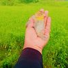 ghfhhuui8yg5678
