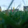 vedrans11