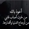 7253849zxcv