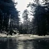 badar_263